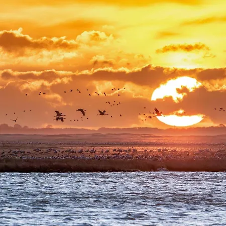 Casa Castagno Mit Garten, Balkon Und Sauna- Heisst Sie Herzlich Willkommen! *