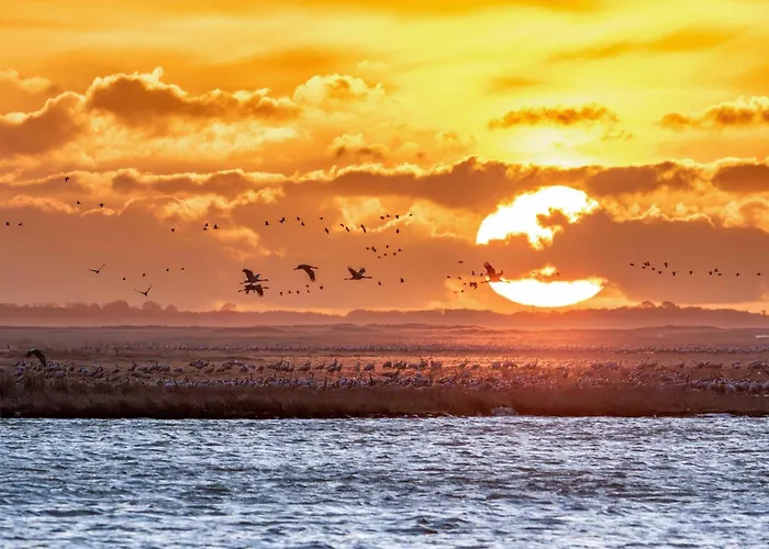 Casa Castagno Mit Garten, Balkon Und Sauna- Heisst Sie Herzlich Willkommen! *